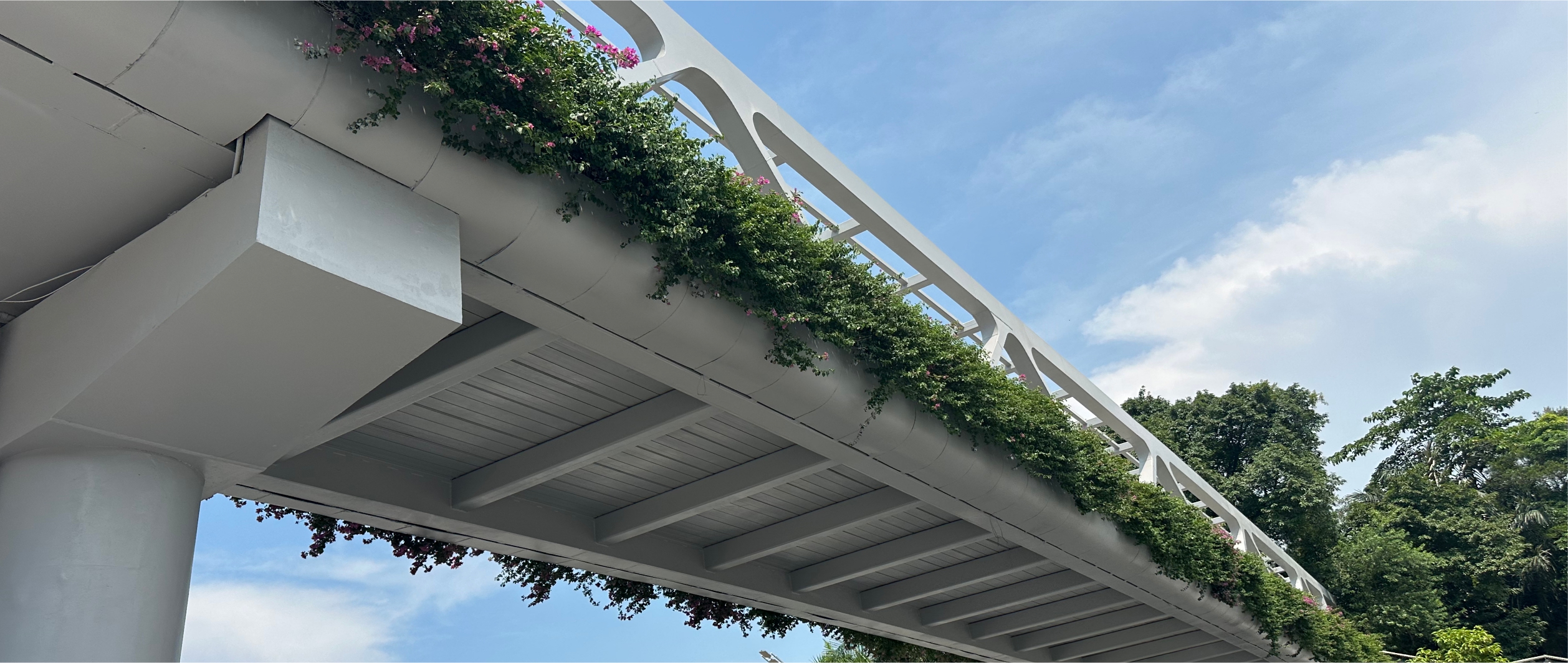 �V�|��Ӆ^Ԫ���ǅRPark����@���wͣ܇��